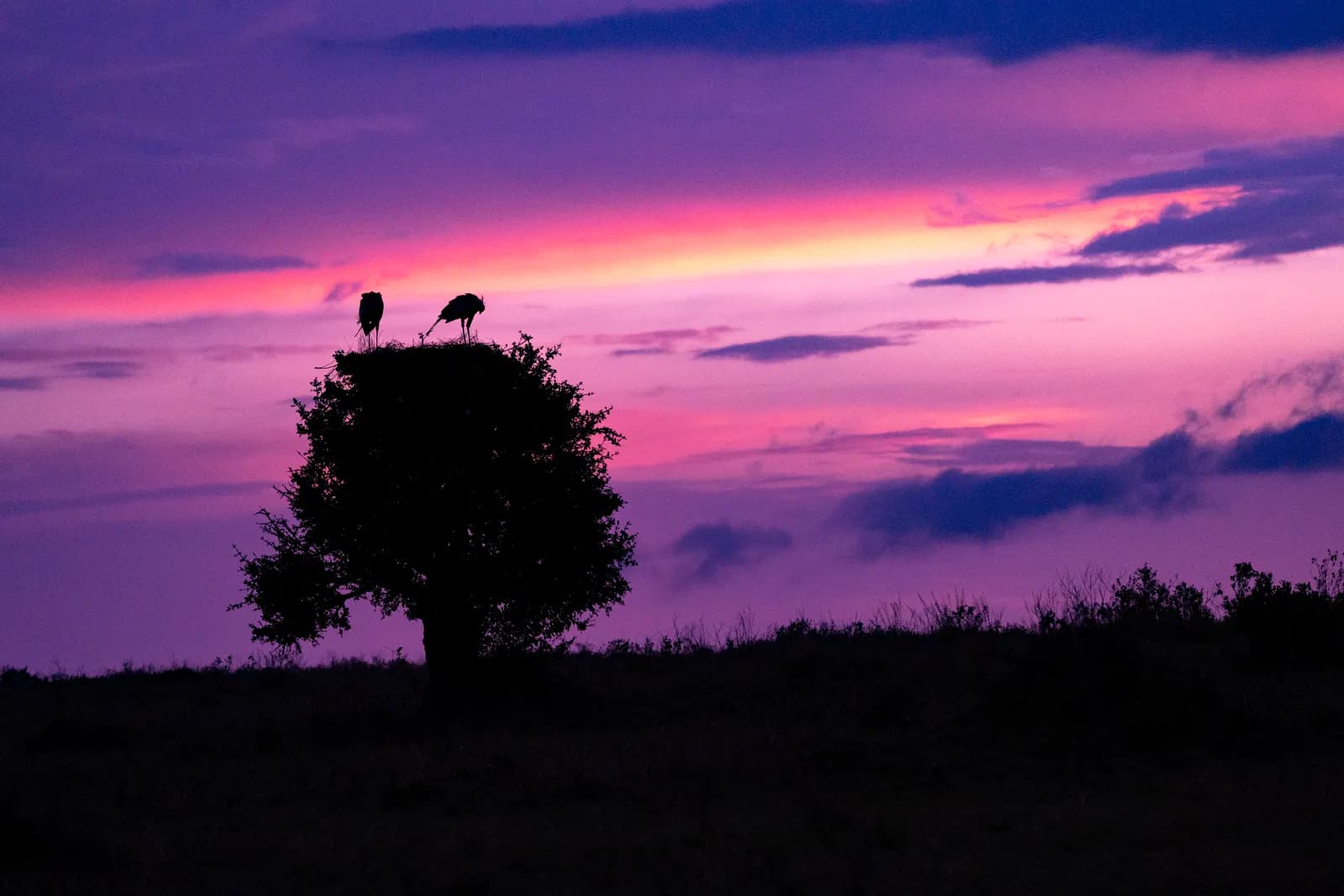 5-Day Tsavo East & West