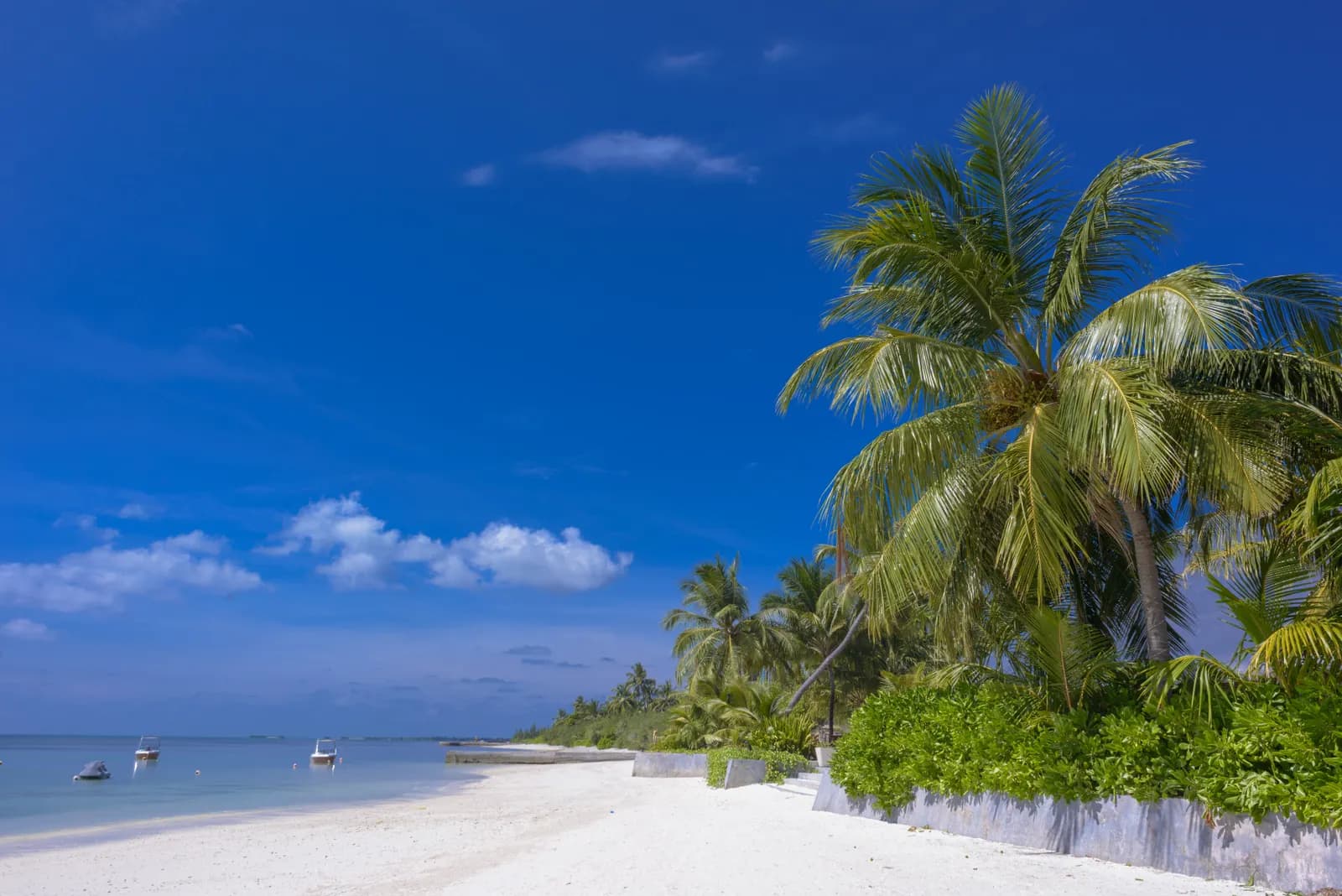 3-Day Diani Beach Escape 3-Day Diani Beach Escape