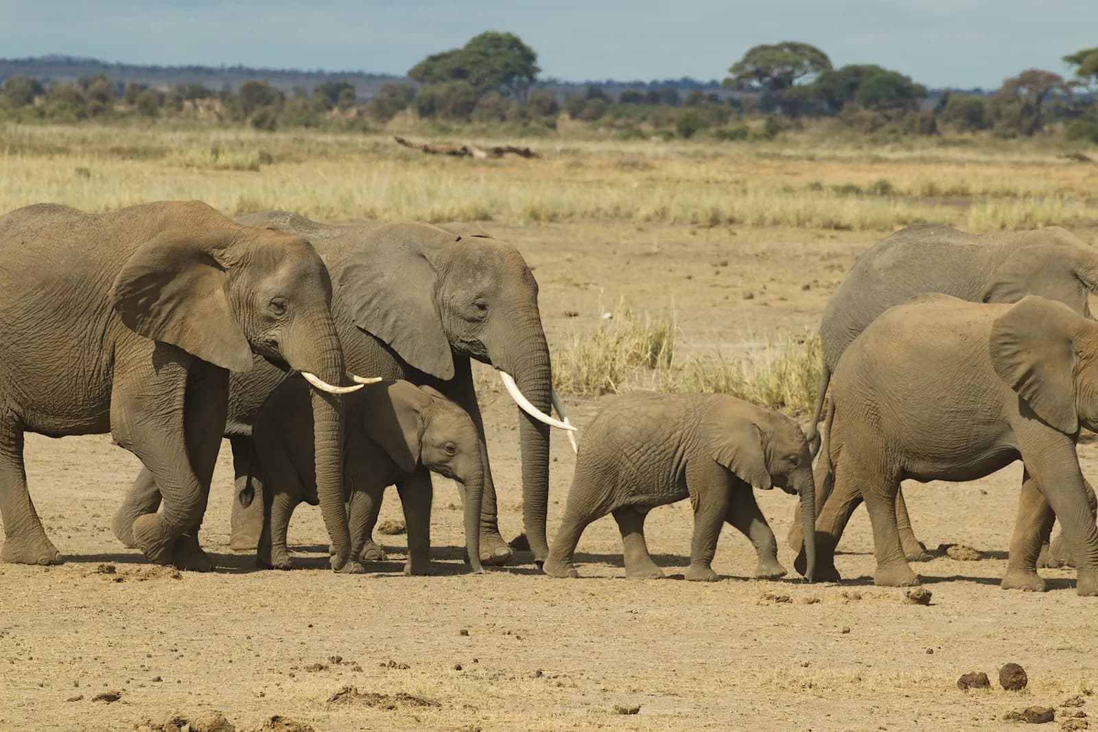 7-Day Northern Tanzania Extension