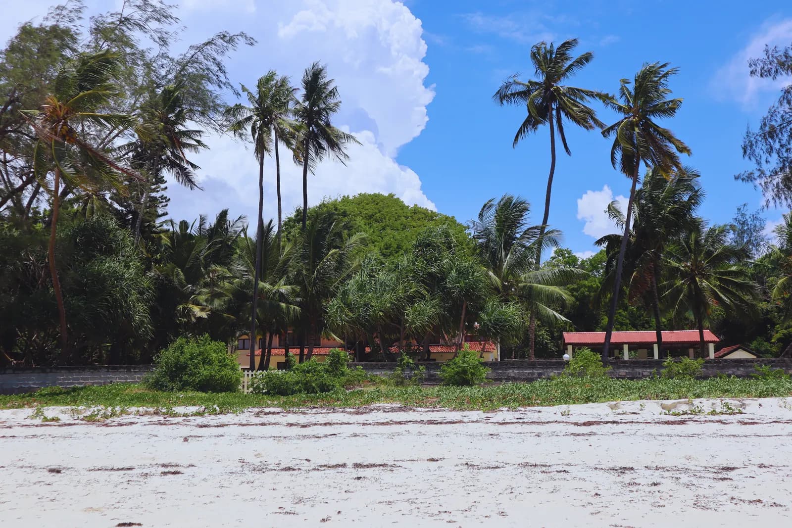 7-Day Mara Safari & Diani Beach