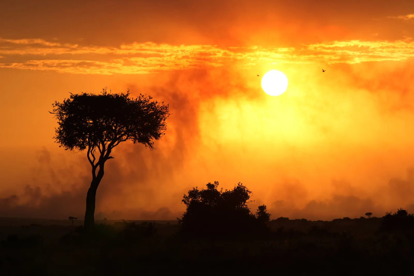 5-Day Tsavo East & West