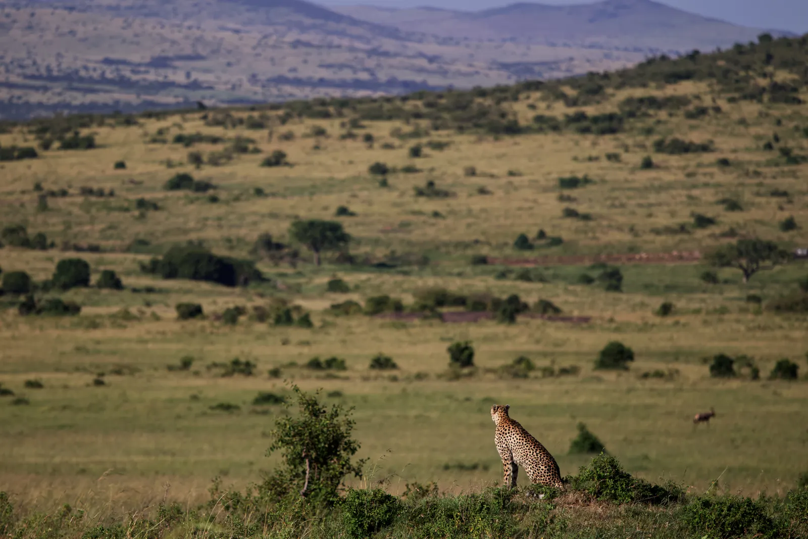 3-Day Samburu Wilderness