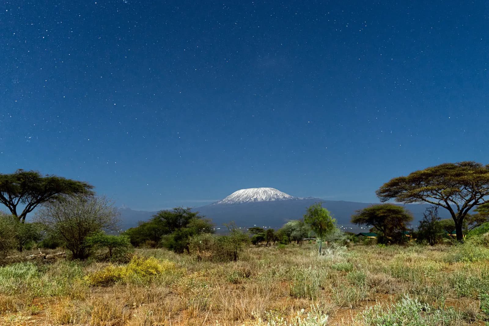 4-Day Amboseli & Kilimanjaro Views 4-Day Amboseli & Kilimanjaro Views