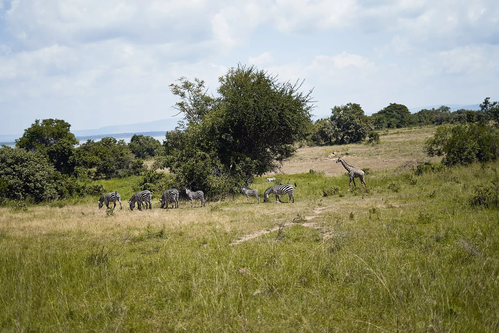 3-Day Samburu Wilderness