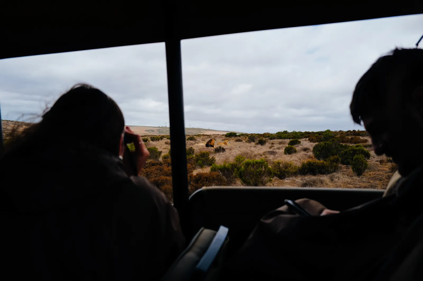 Safari guests Safari guests