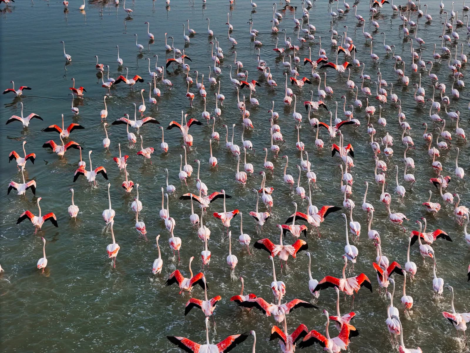 Lake Nakuru