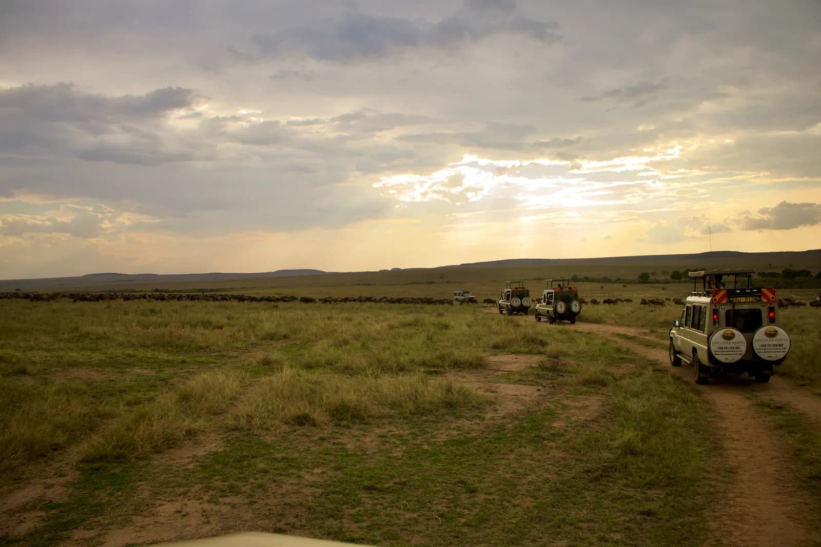 6-Day Classic Kenya Safari