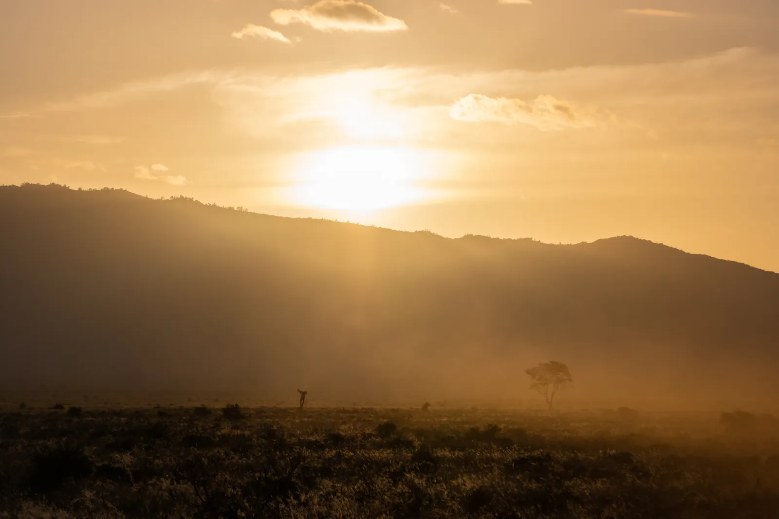 Tsavo East & West