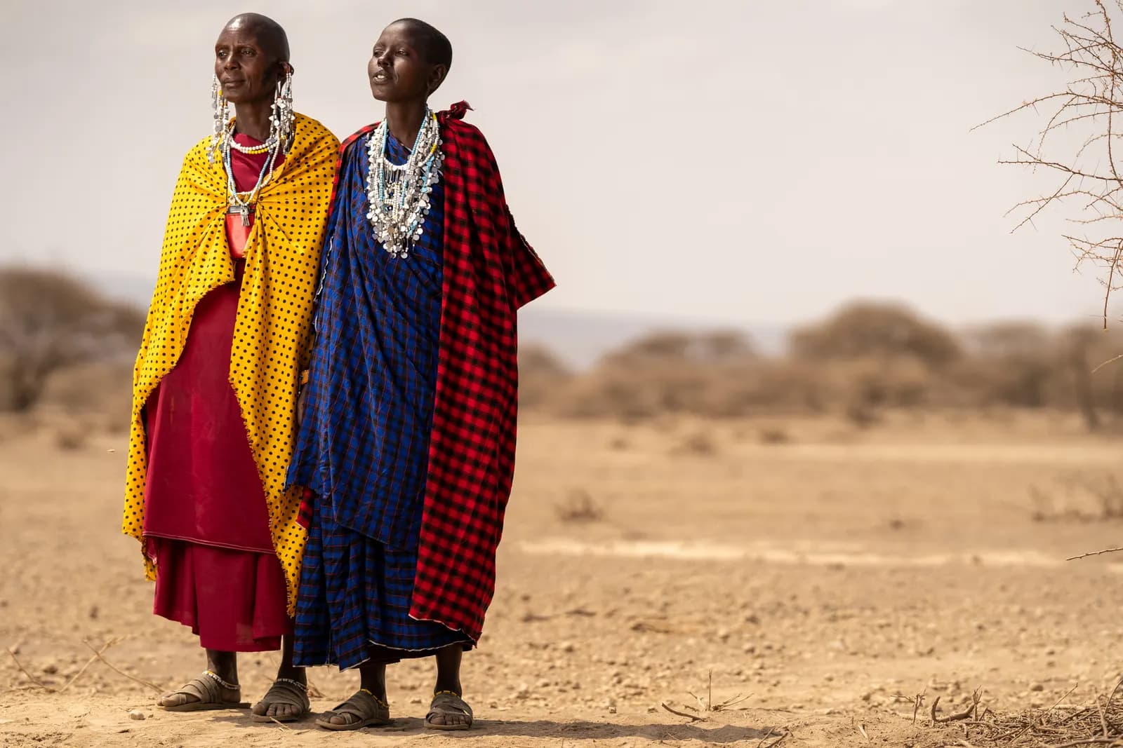 8-Day Kenya Highlights & Culture